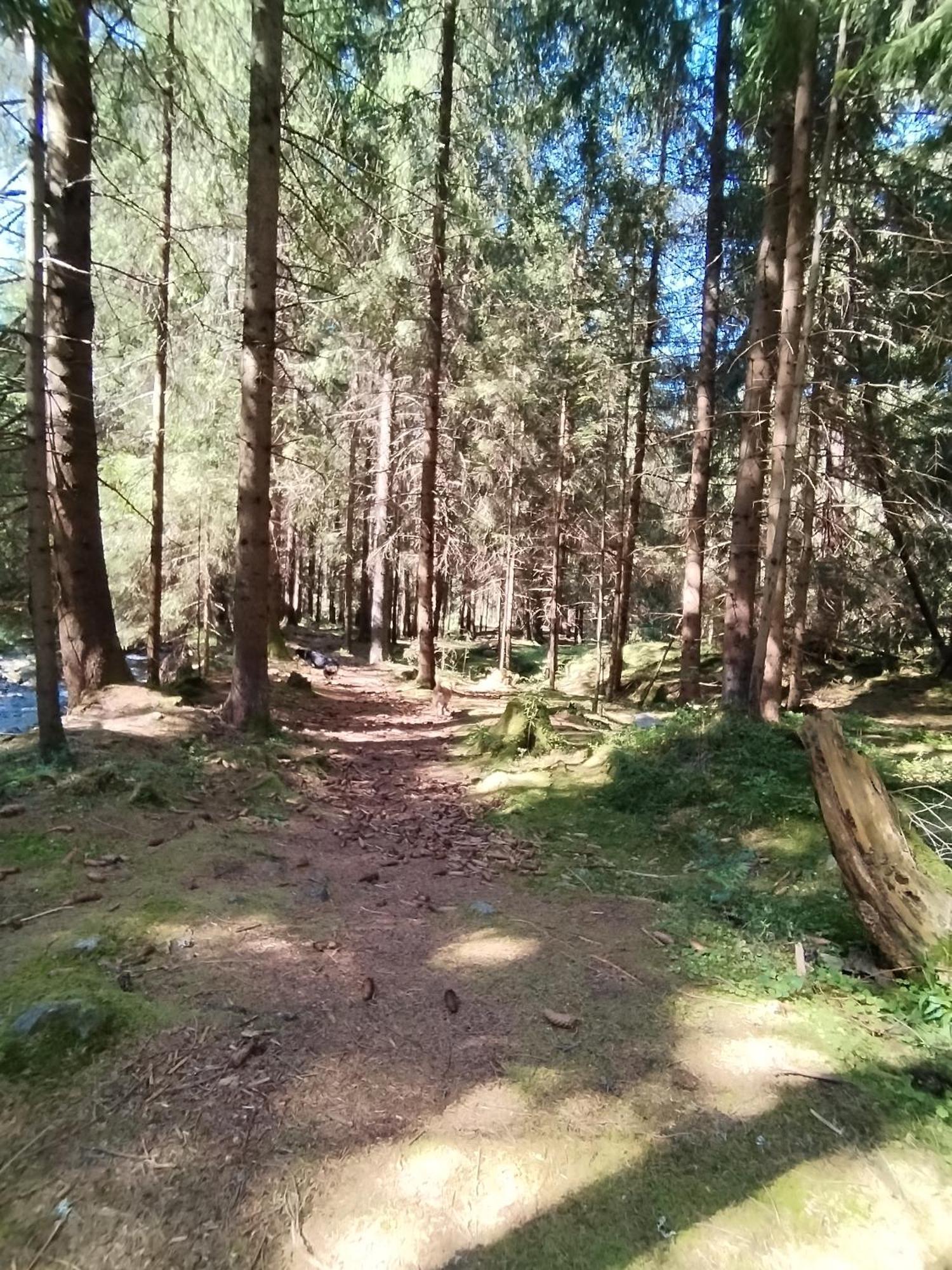 Penzion Real Zsár Kültér fotó