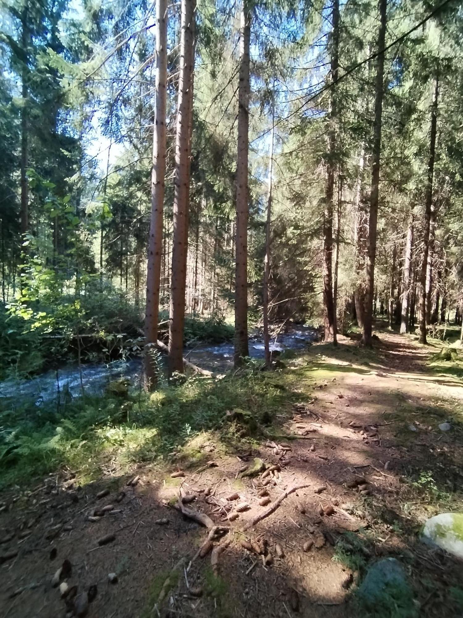 Penzion Real Zsár Kültér fotó